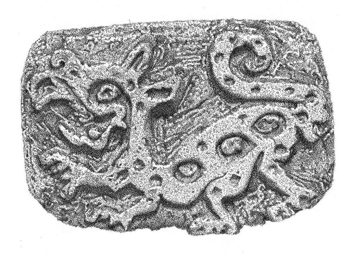 image46